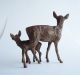 Vienna Austria Antique Cold Painted Bronze Mother Deer Doe And Her Fawn,  Signed, Metalware photo 5