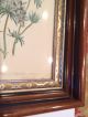 Matched Pair Victorian Wood And Gilt Frames Victorian photo 2