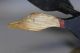 A Early Folk Art Carved Wooden Goose Weathervane - Whirligig Paint Primitives photo 3