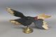 A Early Folk Art Carved Wooden Goose Weathervane - Whirligig Paint Primitives photo 8