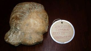 Rare Ancient Roman Marble Head Goddess God Pergamom Estate Attic Artifact Find photo