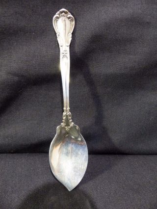 Sterling Silver Sugar Spoon,  6 1/4 