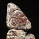 Ancient Pre - Columbian Mesoamerican Ojuelos Jalisco Alien Stone Ancient Enigma The Americas photo 6