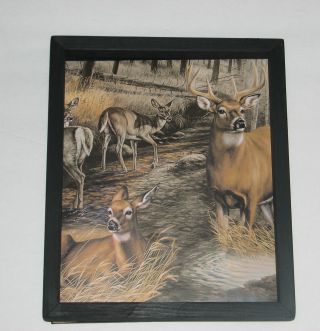 Deer Buck And Doe Wall Decor 11 
