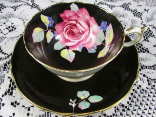 Paragon Pink Rose Blue Forget Me Not Black Tea Cup And Saucer photo