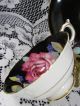 Paragon Pink Rose Blue Forget Me Not Black Tea Cup And Saucer Cups & Saucers photo 4