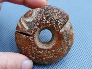 Old Chinese Neolithic Hongshan Culture Old Jade Hand Carved Amulet Pendant 1813 photo