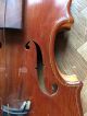 Viola Alceo Piatesi,  Conselice 1986,  42 Cm.  Lenght.  Old Italian Alto Violin String photo 1