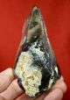 Mousterian Bifacial Hand Axe Neolithic & Paleolithic photo 3