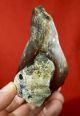 Mousterian Bifacial Hand Axe Neolithic & Paleolithic photo 6