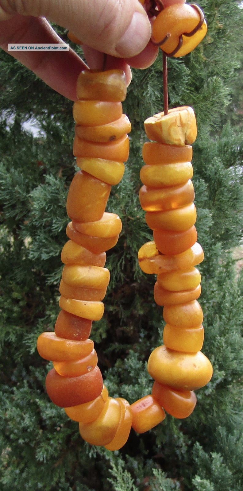 Rare Old Natural Baltic Amber Beads 19th Century Or Older,  Butterscotch,  Prayer Necklaces & Pendants photo
