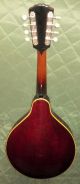 Estate Vintage The Gibson Mandolin A4 Or A3 ? 1915 - 1920 ' S? Color And String photo 3