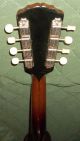 Estate Vintage The Gibson Mandolin A4 Or A3 ? 1915 - 1920 ' S? Color And String photo 8