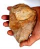 Acheulean Flint Stone Large Hand Axe Neanderthal Paleolithic Tool Neolithic & Paleolithic photo 4