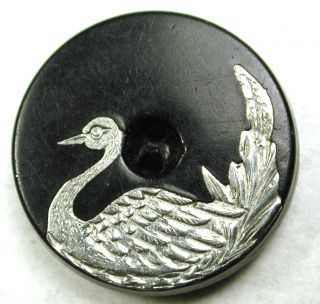 Antique Composition Button W/ Silver Swan Pictorial Inlay - 11/16 