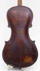 Very Old Stainer Lion Head Antique Violin Violin0 Violine Viola German Germany String photo 3