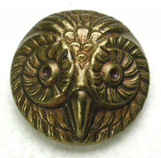 Antique Brass Button Detailed Owl Face Design - 5/8 