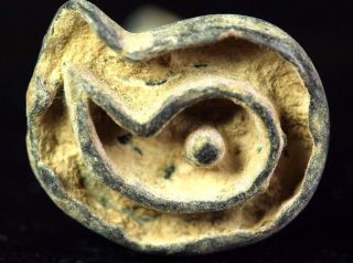 Rare Intaglio Middle Bronze Age Intact Seal photo