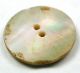 Antique Carved Iridescent Shell Button Flower Sew Through Design - 11/16 