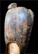 Old Tribal Fang Mask - - Gabon Bn 17 Other African Antiques photo 6