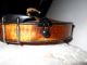Vintage Old Antique 1800s 1 Pc Back Full Size Violin - String photo 10