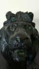 Japanese Bronze Study Of A Prowling Lion 4 Character Sign 43cm Meiji Period Vases photo 9