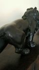 Japanese Bronze Study Of A Prowling Lion 4 Character Sign 43cm Meiji Period Vases photo 6