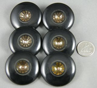 6 Vintage Bakelite Buttons Indented Starburst Metal Shank Large 1 5/16 
