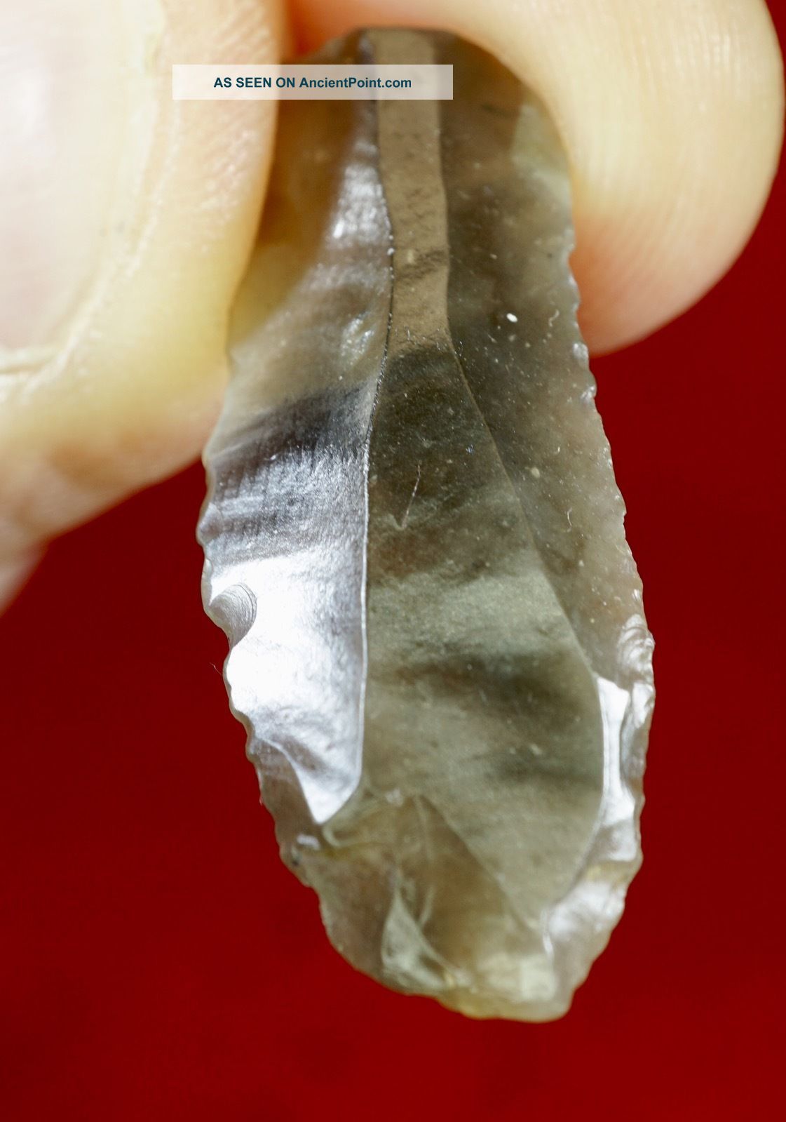 Early Upper Palaeolithic, Protoaurignacian Dufour Bladelet C34k