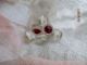 6 Gorgeous Htf Antique Tiny Pink Rhinestone Camphor Glass Buttons 20s Czech 1/4 