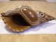 Solomon Islands Conch Shell Wood Carving Pacific Islands & Oceania photo 3