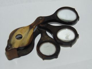 Lovely Antique 1800 ' S Real Horn 3 Part Fold Loupe Magnify Glass Magnifying photo