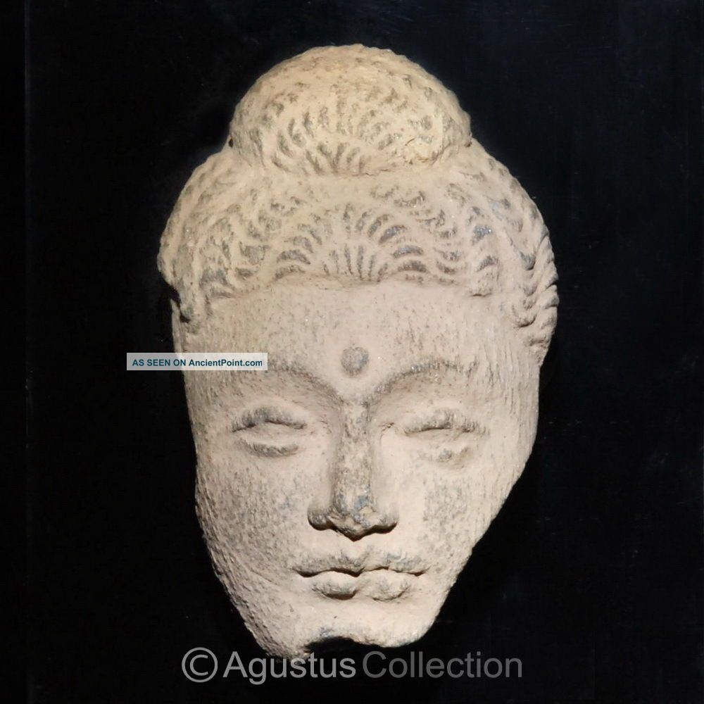 Rare Ancient Gandharan Gray Schist Stone Face Buddha 2nd - 3rd Cent.  Afghanistan Statues photo