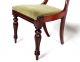 Pair Antique Chairs 2 Victorian Balloon Back Chairs Mahogany 19th Century Side B 1800-1899 photo 2