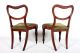 Pair Antique Chairs 2 Victorian Balloon Back Chairs Mahogany 19th Century Side B 1800-1899 photo 5