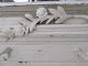 Omg Old Chippy White Architectural Header W/hooks Very Ornate 5 ' Long Other Antique Architectural photo 5