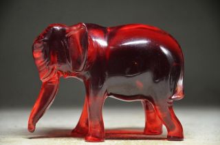 Delicate Chinese Amber Hand Carved Elephant Statue photo