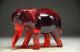 Delicate Chinese Amber Hand Carved Elephant Statue Elephants photo 2