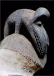 Old Tribal Suku Helmet Mask - - D R Congo Bn 17 Other African Antiques photo 1