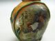 Chinese Glass Hand Inside - Drawing Chook Snuff Bottle Snuff Bottles photo 5