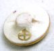 Antique Meiji Satsuma Button Colorful Flowers W/ Gold Accents 11/16 