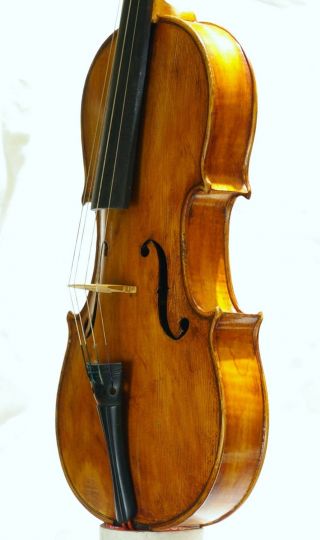 Antique Italian Labeled Violin Ventapane Pasquale Napoli 1786 photo