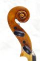 Antique Italian Labeled Violin Ventapane Pasquale Napoli 1786 String photo 8
