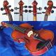 Very Fine Antique Violin By Karl Hofner,  Schonbach.  Build & Tone String photo 8