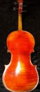 Old Antique Violin One Peice Back 1900 ' S German Or Italian String photo 1