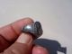 Roman Silver Engraved Ring Displayed Temple And Branch Roman photo 10