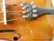 Early Josef Guarnerius Fecit Cremonac Anno 1742 Ihs Violin W/ Bows & Case (nr) String photo 10