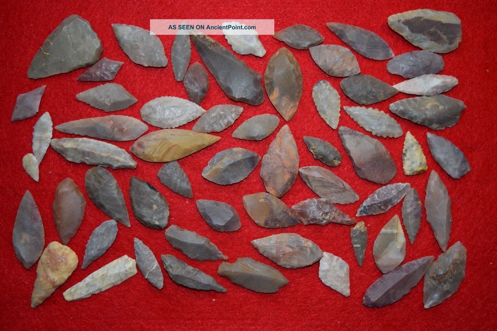 50,  Common Sahara Neolithic Tools Neolithic & Paleolithic photo