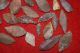 50,  Common Sahara Neolithic Tools Neolithic & Paleolithic photo 3