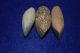 3 Medium Sized Hard Stone Celts From The Sahara Neolithic,  Over 2.  5 Inches Long Neolithic & Paleolithic photo 2